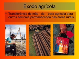 Êxodo agrícola Transferência de mão - de – obra agrícola para outros sectores permanecendo nas áreas rurais 