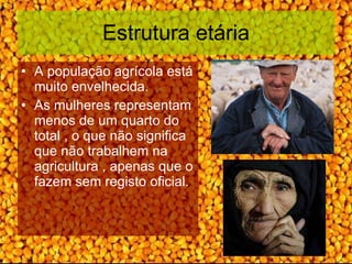 Estrutura etária A população agrícola está muito envelhecida. As mulheres representam menos de um quarto do total , o que não significa que não trabalhem na agricultura , apenas que o fazem sem registo oficial. 