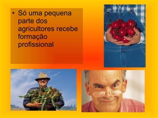Só uma pequena parte dos agricultores recebe formação profissional 