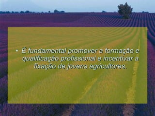 É fundamental promover a formação e qualificação profissional e incentivar a fixação de jovens agricultores. 