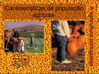 Características da população agrícola  A agricultura portuguesa 