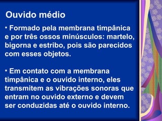 Ouvido médio
• Formado pela membrana timpânica
e por três ossos minúsculos: martelo,
bigorna e estribo, pois são parecidos
com esses objetos.
• Em contato com a membrana
timpânica e o ouvido interno, eles
transmitem as vibrações sonoras que
entram no ouvido externo e devem
ser conduzidas até o ouvido interno.
 