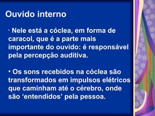 Ouvido interno
• Nele está a cóclea, em forma de
caracol, que é a parte mais
importante do ouvido: é responsável
pela percepção auditiva.
• Os sons recebidos na cóclea são
transformados em impulsos elétricos
que caminham até o cérebro, onde
são ‘entendidos’ pela pessoa.
 