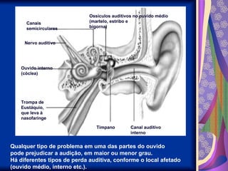 Ossículos auditivos no ouvido médio
(martelo, estribo e
bigorna)
Canais
semicirculares
Nervo auditivo
Ouvido interno
(cóclea)
Trompa de
Eustáquio,
que leva à
nasofaringe
Tímpano Canal auditivo
interno
Qualquer tipo de problema em uma das partes do ouvido
pode prejudicar a audição, em maior ou menor grau.
Há diferentes tipos de perda auditiva, conforme o local afetado
(ouvido médio, interno etc.).
 
