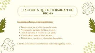 Características de LOS BIOMAS del mundo-- | PDF