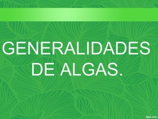 GENERALIDADES
DE ALGAS.
 