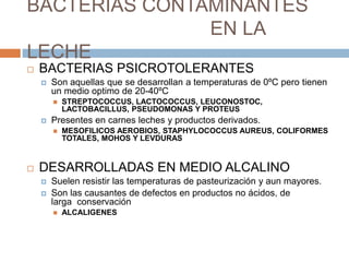 BACTERIAS CONTAMINANTES
               EN LA
LECHE
   BACTERIAS PSICROTOLERANTES
       Son aquellas que se desarrollan a temperaturas de 0ºC pero tienen
        un medio optimo de 20-40ºC
           STREPTOCOCCUS, LACTOCOCCUS, LEUCONOSTOC,
            LACTOBACILLUS, PSEUDOMONAS Y PROTEUS
       Presentes en carnes leches y productos derivados.
           MESOFILICOS AEROBIOS, STAPHYLOCOCCUS AUREUS, COLIFORMES
            TOTALES, MOHOS Y LEVDURAS


   DESARROLLADAS EN MEDIO ALCALINO
       Suelen resistir las temperaturas de pasteurización y aun mayores.
       Son las causantes de defectos en productos no ácidos, de
        larga conservación
           ALCALIGENES
 