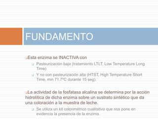 FUNDAMENTO
   Esta enzima se INACTIVA con
        Pasteurización baja (tratamiento LTLT, Low Temperature Long
         Time)
        Y no con pasteurización alta (HTST, High Temperature Short
         Time, min 71.7ºC durante 15 seg).


La actividad de la fosfatasa alcalina se determina por la acción
hidrolítica de dicha enzima sobre un sustrato sintético que da
una coloración a la muestra de leche.
        Se utiliza un kit colorimétrico cualitativo que nos pone en
         evidencia la presencia de la enzima.
 