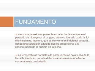 FUNDAMENTO
La enzima peroxidasa presente en la leche descompone el
peróxido de hidrógeno, el oxígeno atómico liberado oxida la 1,4
difenildiamina, incolora, que se convierte en indofenol púrpura,
dando una coloración azulada que es proporcional a la
concentración de la enzima en la leche.


 Las temperaturas normales de pasteurización baja y alta de la
leche la inactivan, por ello debe estar ausente en una leche
correctamente pasterizada.
 
