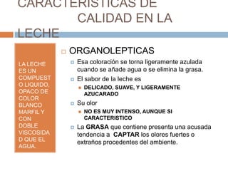 CARACTERISTICAS DE
       CALIDAD EN LA
LECHE
                ORGANOLEPTICAS
LA LECHE            Esa coloración se torna ligeramente azulada
ES UN                cuando se añade agua o se elimina la grasa.
COMPUEST            El sabor de la leche es
O LIQUIDO,              DELICADO, SUAVE, Y LIGERAMENTE
OPACO DE                 AZUCARADO
COLOR
BLANCO              Su olor
MARFIL Y                NO ES MUY INTENSO, AUNQUE SI
CON                      CARACTERISTICO
DOBLE               La GRASA que contiene presenta una acusada
VISCOSIDA            tendencia a CAPTAR los olores fuertes o
D QUE EL
                     extraños procedentes del ambiente.
AGUA.
 