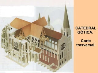 CATEDRAL GÓTICA.  Corte trasversal. 