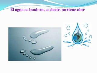 Características del agua | PPTX