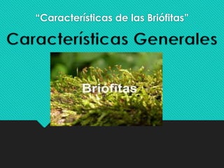 “Características de las Briófitas”
 