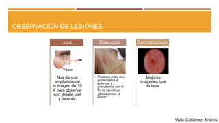 Características de las lesiones de la piel | PPTX