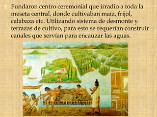  Fundaron centro ceremonial que irradio a toda la
meseta central, donde cultivaban maíz, frijol,
calabaza etc. Utilizando...