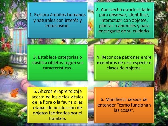 Características De Las Personas Que Poseen Inteligencia Naturalista
