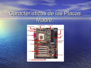 Características de las PlacasCaracterísticas de las Placas
Madre.Madre.
 