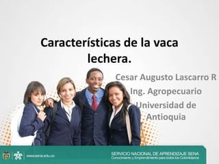 Características de la vaca
lechera.
Cesar Augusto Lascarro R
Ing. Agropecuario
Universidad de
Antioquia

 