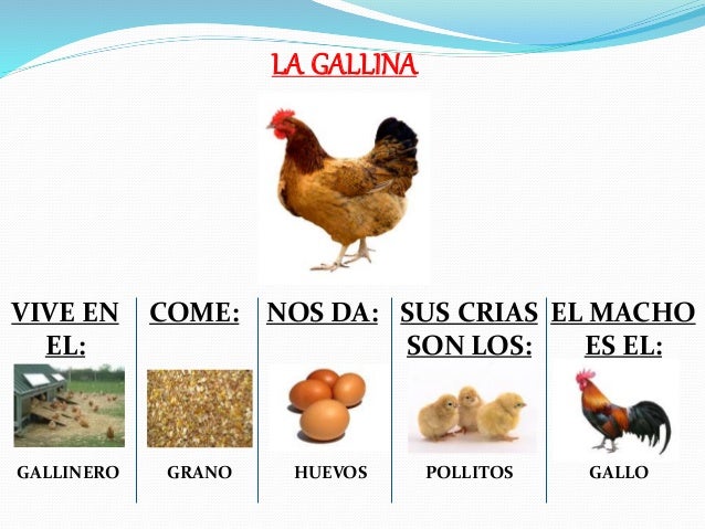 Características de los animales de la granja