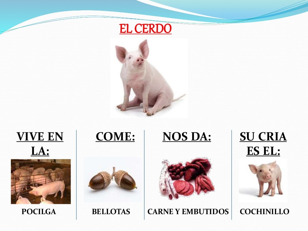 Características de los animales de la granja