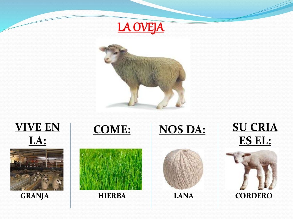Características de los animales de la granja