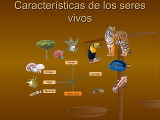 Características de los seresCaracterísticas de los seres
vivosvivos
 
