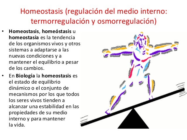Características de los seres vivos