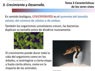 Tema 2 Características
de los seres vivos
3. Crecimiento y Desarrollo.
En sentido biológico, crecimiento es el aumento del tamaño
celular, del número de células o de ambas.
También los organismos unicelulares crecen, las bacterias
duplican su tamaño antes de dividirse nuevamente.
El crecimiento puede durar toda la
vida del organismo como en los
árboles, o restringirse a cierta etapa
y hasta cierta altura, como en la
mayoría de los animales.
 