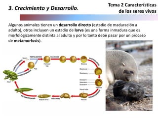 Tema 2 Características
de los seres vivos
3. Crecimiento y Desarrollo.
Algunos animales tienen un desarrollo directo (estadio de maduración a
adulto), otros incluyen un estadio de larva (es una forma inmadura que es
morfológicamente distinta al adulto y por lo tanto debe pasar por un proceso
de metamorfosis).
 