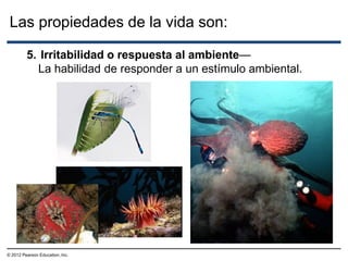 Las propiedades de la vida son:
© 2012 Pearson Education, Inc.
5. Irritabilidad o respuesta al ambiente—
La habilidad de responder a un estímulo ambiental.
 