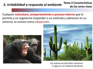 Tema 2 Características
de los seres vivos
Cualquier estructura, comportamiento o proceso interno que le
permita a un organismo responder a un estímulo y sobrevivir en su
entorno, se conoce como adaptación.
Las espinas les permiten conservar
el agua en el ambiente desértico
5. Irritabilidad o respuesta al ambiente
 