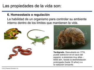 Las propiedades de la vida son:
© 2012 Pearson Education, Inc.
6. Homeostasis o regulación
Tardigrado. Descubierto en 1774,
puede sobrevivir en el vacío del
espacio, a presiones muy altas -
6000 atm, resiste la deshidratación
prolongada (hasta 10 años) o a
la radiación ionizante.
La habilidad de un organismo para controlar su ambiente
interno dentro de los límites que mantienen la vida.
 