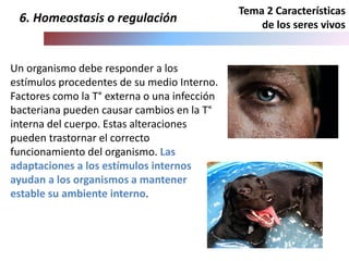 Tema 2 Características
de los seres vivos
6. Homeostasis o regulación
Un organismo debe responder a los
estímulos procedentes de su medio Interno.
Factores como la T° externa o una infección
bacteriana pueden causar cambios en la T°
interna del cuerpo. Estas alteraciones
pueden trastornar el correcto
funcionamiento del organismo. Las
adaptaciones a los estímulos internos
ayudan a los organismos a mantener
estable su ambiente interno.
 