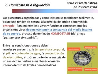 Tema 2 Características
de los seres vivos
Las estructuras organizadas y complejas no se mantienen fácilmente,
existe una tendencia natural a la pérdida del orden denominada
entropía. Para mantenerse vivos y funcionar correctamente los
organismos vivos deben mantener la constancia del medio interno
de su cuerpo, proceso denominado HOMEOSTASIS (del griego
"permanecer sin cambio").
Entre las condiciones que se deben
regular se encuentra: la temperatura corporal,
el pH , el contenido de agua, la concentración
de electrolitos, etc. Gran parte de la energía de
un ser vivo se destina a mantener el medio
interno dentro de límites homeostáticos.
6. Homeostasis o regulación
 