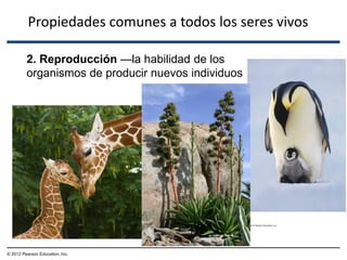 Propiedades comunes a todos los seres vivos
2. Reproducción —la habilidad de los
organismos de producir nuevos individuos
© 2012 Pearson Education, Inc.
 