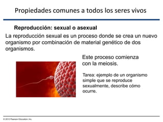 Reproducción: sexual o asexual
© 2012 Pearson Education, Inc.
Propiedades comunes a todos los seres vivos
La reproducción sexual es un proceso donde se crea un nuevo
organismo por combinación de material genético de dos
organismos.
Este proceso comienza
con la meiosis.
Tarea: ejemplo de un organismo
simple que se reproduce
sexualmente, describe cómo
ocurre.
 