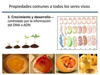 3. Crecimiento y desarrollo—
controlado por la información
del DNA o ADN
© 2012 Pearson Education, Inc.
Propiedades comunes a todos los seres vivos
 