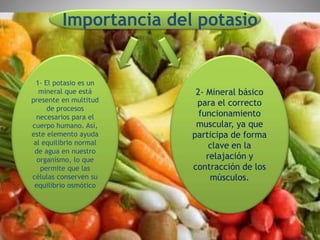 Importancia del potasio
2- Mineral básico
para el correcto
funcionamiento
muscular, ya que
participa de forma
clave en la
relajación y
contracción de los
músculos.
1- El potasio es un
mineral que está
presente en multitud
de procesos
necesarios para el
cuerpo humano. Así,
este elemento ayuda
al equilibrio normal
de agua en nuestro
organismo, lo que
permite que las
células conserven su
equilibrio osmótico
 