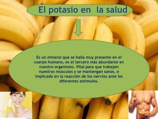 3 El potasio en la salud
Es un mineral que se halla muy presente en el
cuerpo humano, es el tercero más abundante en
nuestro organismo. Vital para que trabajen
nuestros músculos y se mantengan sanos, e
implicado en la reacción de los nervios ante los
diferentes estímulos.
 