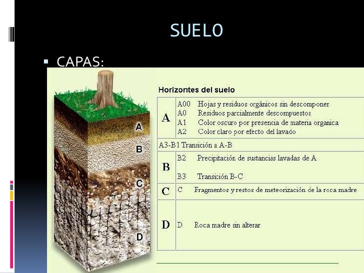 Características del suelo