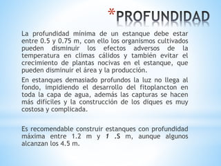 *
La profundidad mínima de un estanque debe estar
entre 0.5 y 0.75 m, con ello los organismos cultivados
pueden disminuir los efectos adversos de la
temperatura en climas cálidos y también evitar el
crecimiento de plantas nocivas en el estanque, que
pueden disminuir el área y la producción.
En estanques demasiado profundos la luz no llega al
fondo, impidiendo el desarrollo del fitoplancton en
toda la capa de agua, además las capturas se hacen
más difíciles y la construcción de los diques es muy
costosa y complicada.
Es recomendable construir estanques con profundidad
máxima entre 1.2 m y 1 .S m, aunque algunos
alcanzan los 4.5 m.
 