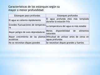 Estanques poco profundos Estanques profundos
El agua se calienta rápidamente
El agua profunda está más templada
durante la estación fría
Grandes fluctuaciones de temperatu
ra
La temperatura del agua es más estable
Mayor peligro de aves depredadoras
Menos disponibilidad de alimentos
naturales
Mayor crecimiento de las plantas
acuáticas
Dificultad de utilizar artes de cerco en
aguas profundas
No se necesitan diques grandes Se necesitan diques grandes y fuertes
Características de los estanques según su
mayor o menor profundidad:
 