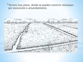 *Terreno muy plano, donde se pueden construir estanques
por excavación o amurallamiento.
 