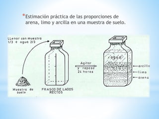 *Estimación práctica de las proporciones de
arena, limo y arcilla en una muestra de suelo.
 