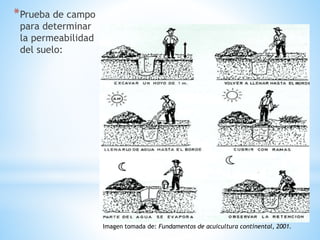 *Prueba de campo
para determinar
la permeabilidad
del suelo:
Imagen tomada de: Fundamentos de acuicultura continental, 2001.
 