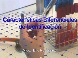 Características Diferenciales
de Identificación
Mlgo. Eric Rodriguez
 