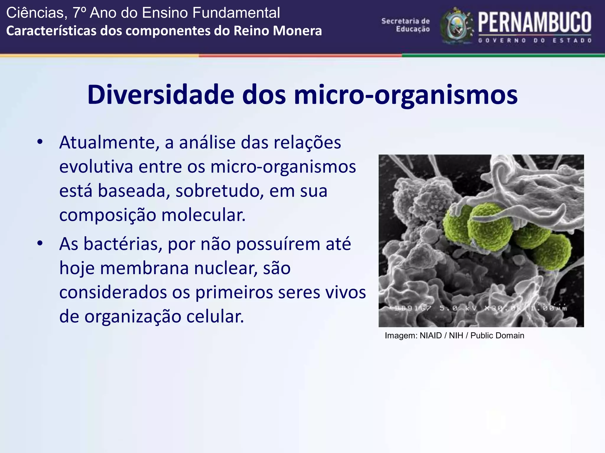 Características dos componentes do reino Monera.ppt