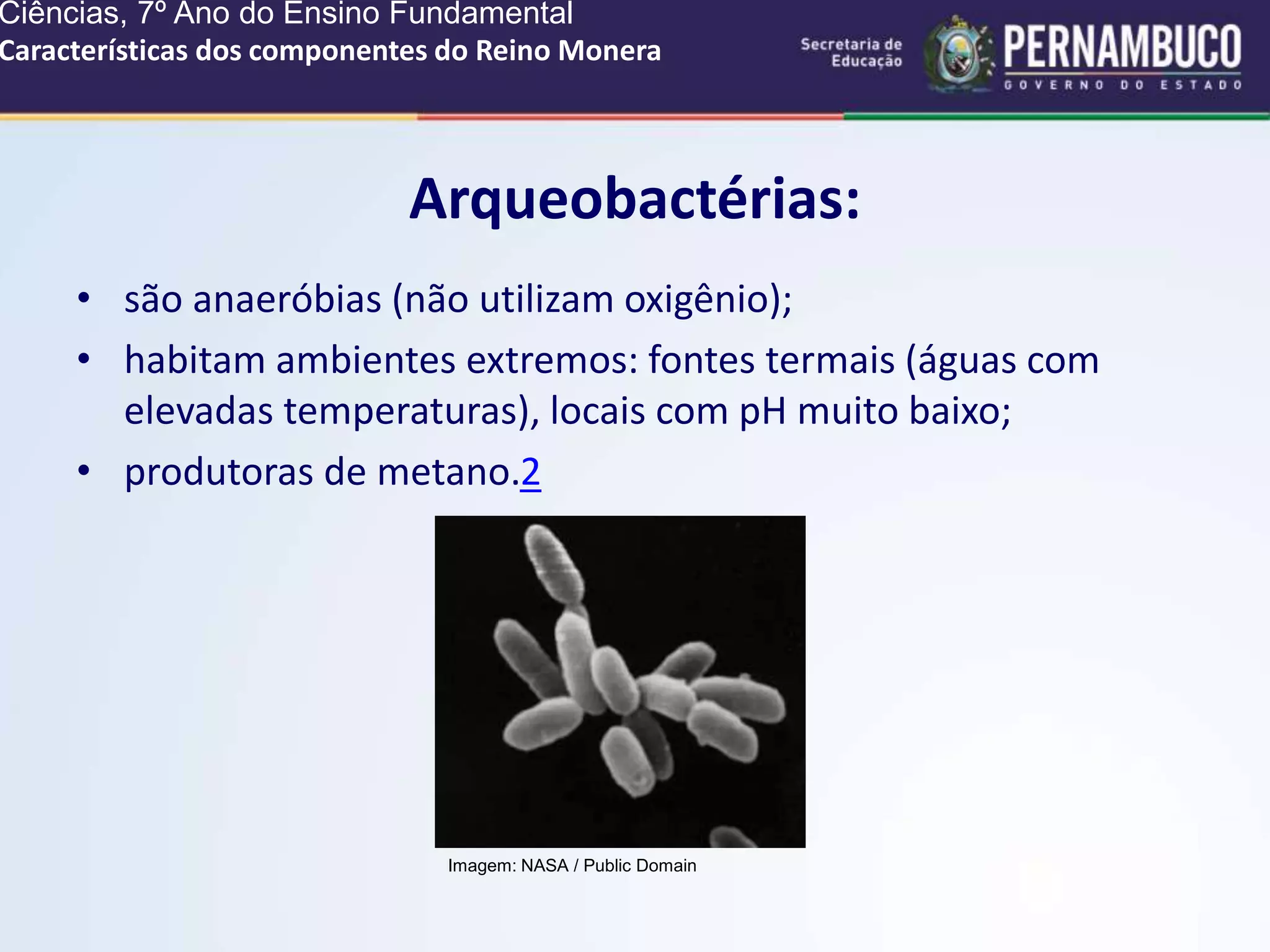 Características dos componentes do reino Monera.ppt