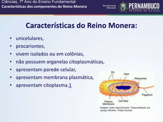 Características dos componentes do reino Monera.ppt