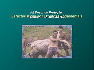 Características dos Direitos FundamentaisCaracterísticas dos Direitos Fundamentais
(e) Dever de Proteção(e) Dever de Proteção
Exemplo 2 – Farra do BoiExemplo 2 – Farra do Boi
 